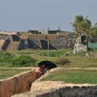 Galle 2