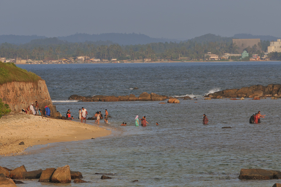Galle 6