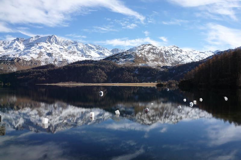 GALLEGGIANTI - Engadin - 21/11/2009