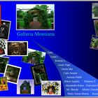 Galleria Mosniana