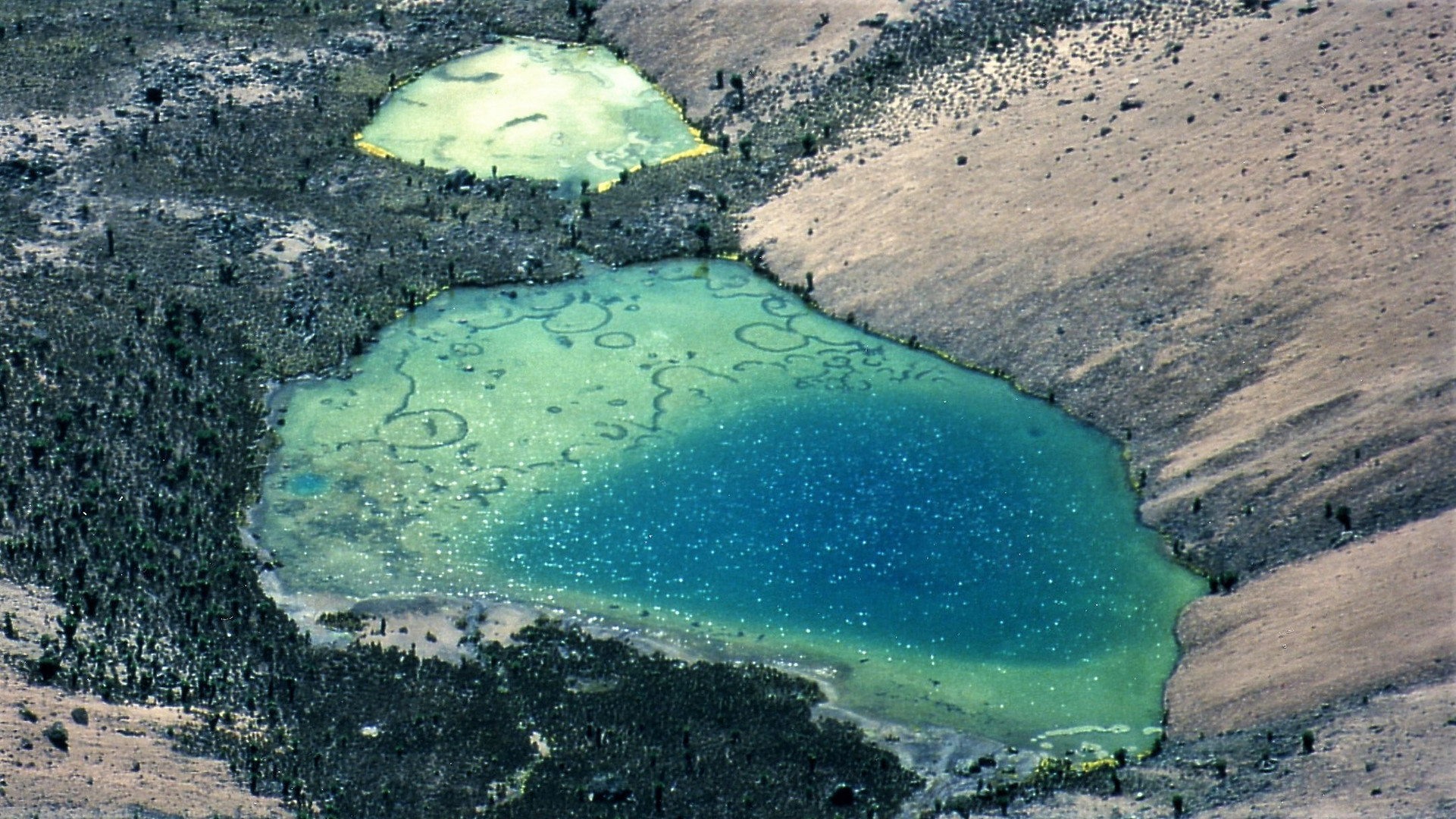 Gallery Tarn