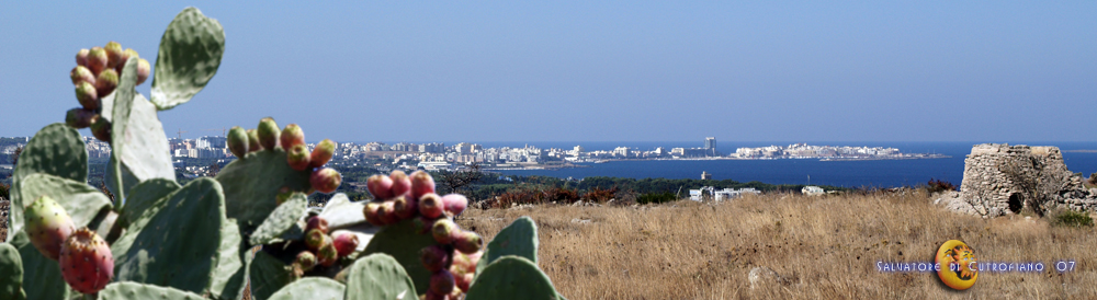 Gallipoli