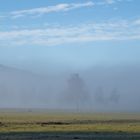 Galloway im Nebel