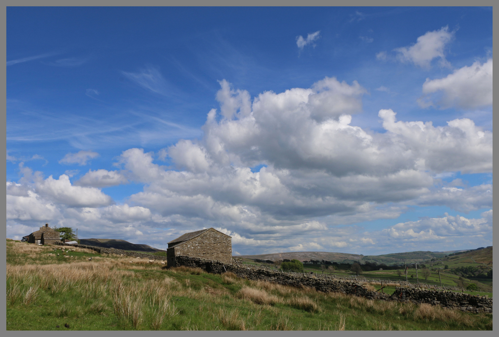 Gallows Top farm Swaledale in May 2