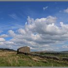 Gallows Top farm Swaledale in May 2