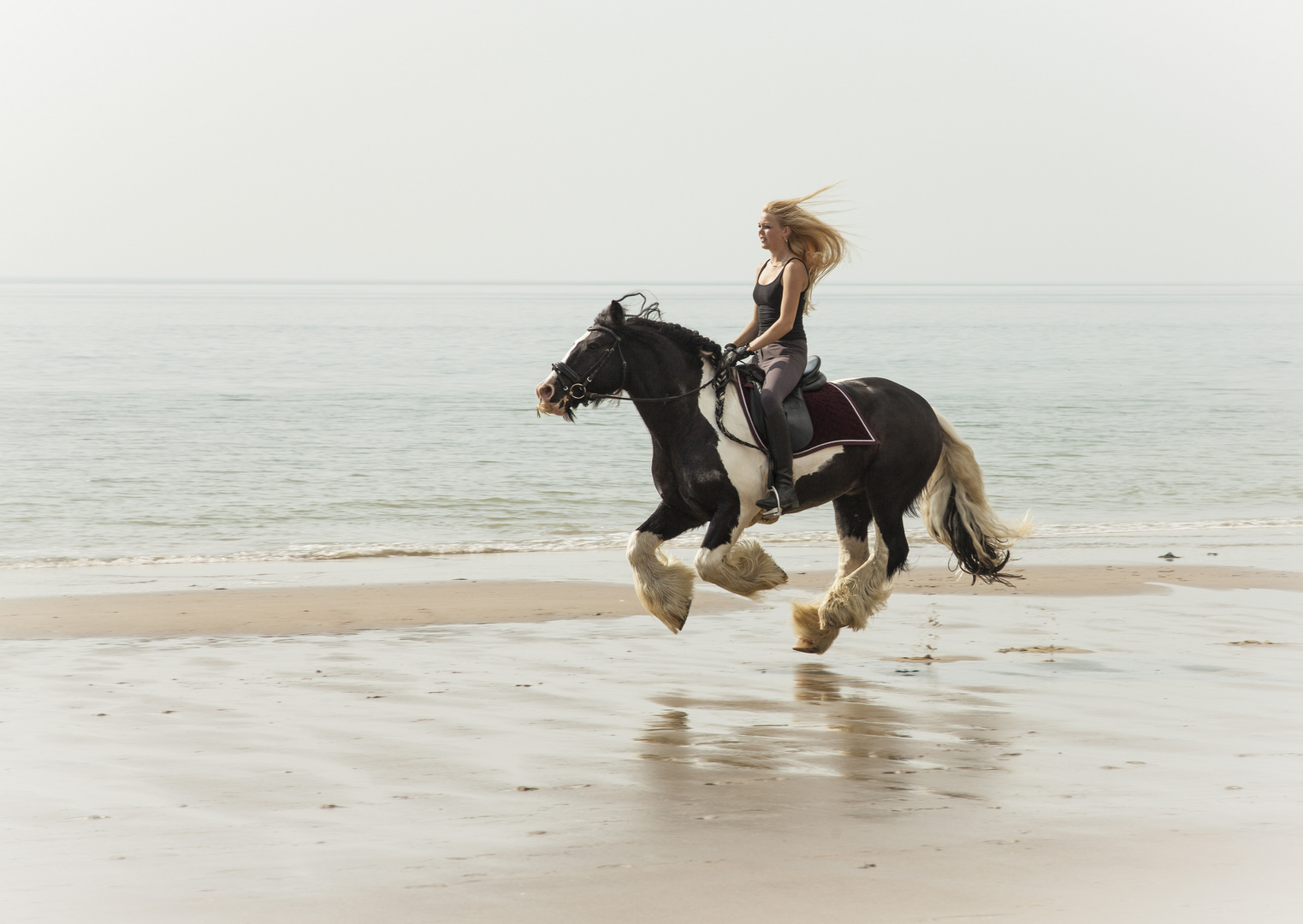 Galop à la plage