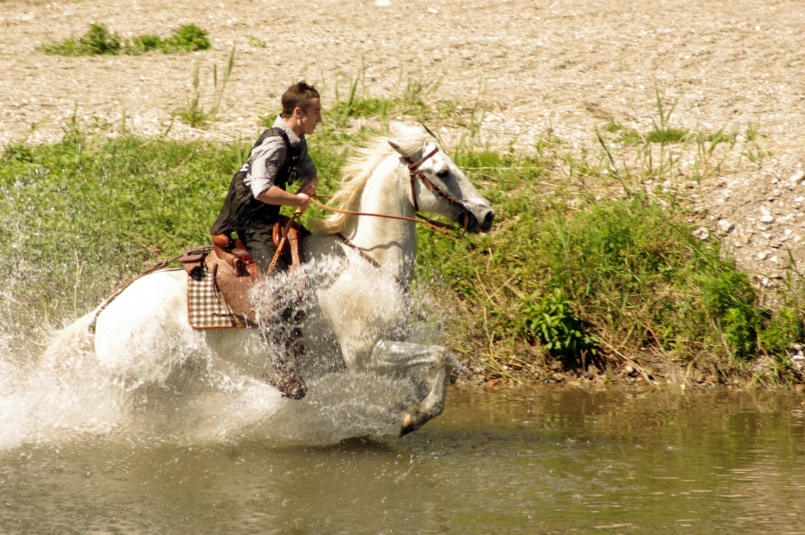 Galoper dans l'eau ...