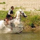 Galoper dans l'eau ...