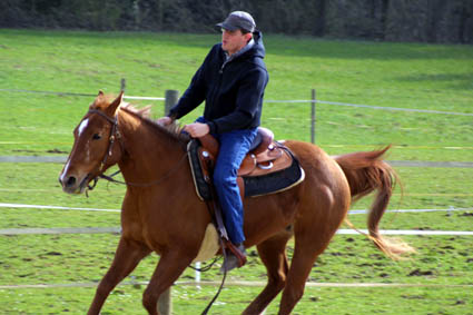 Galopp auf dem Sandplatz