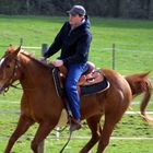 Galopp auf dem Sandplatz