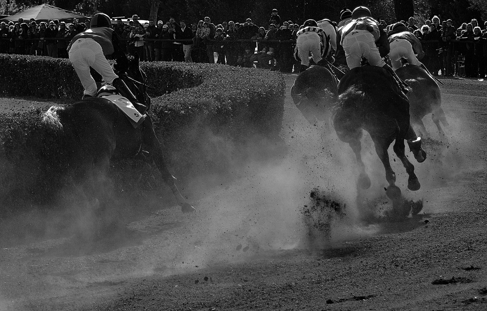 Galopp durch die Staubwolken