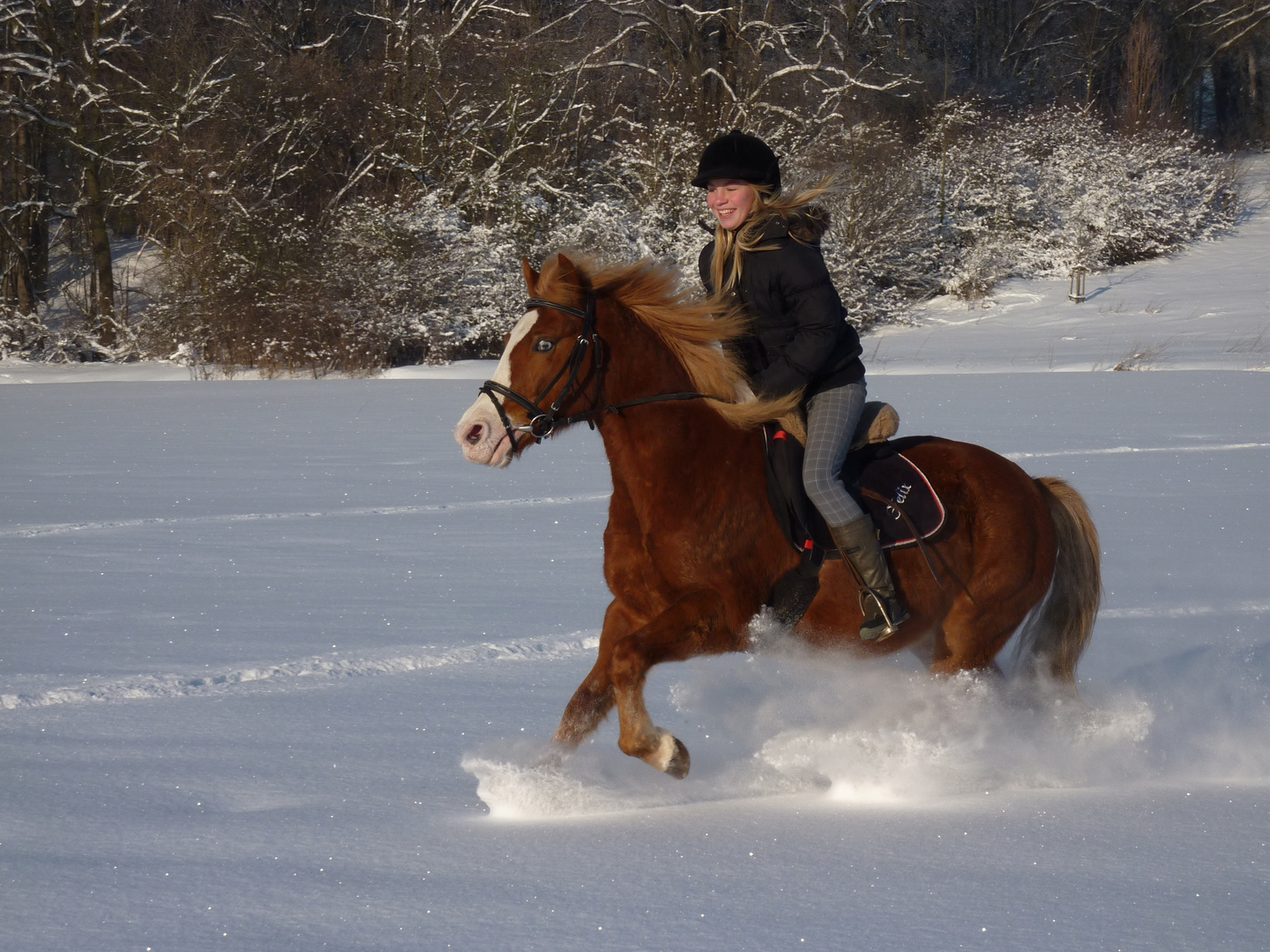 Galopp im Schnee