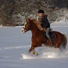 Galopp im Schnee