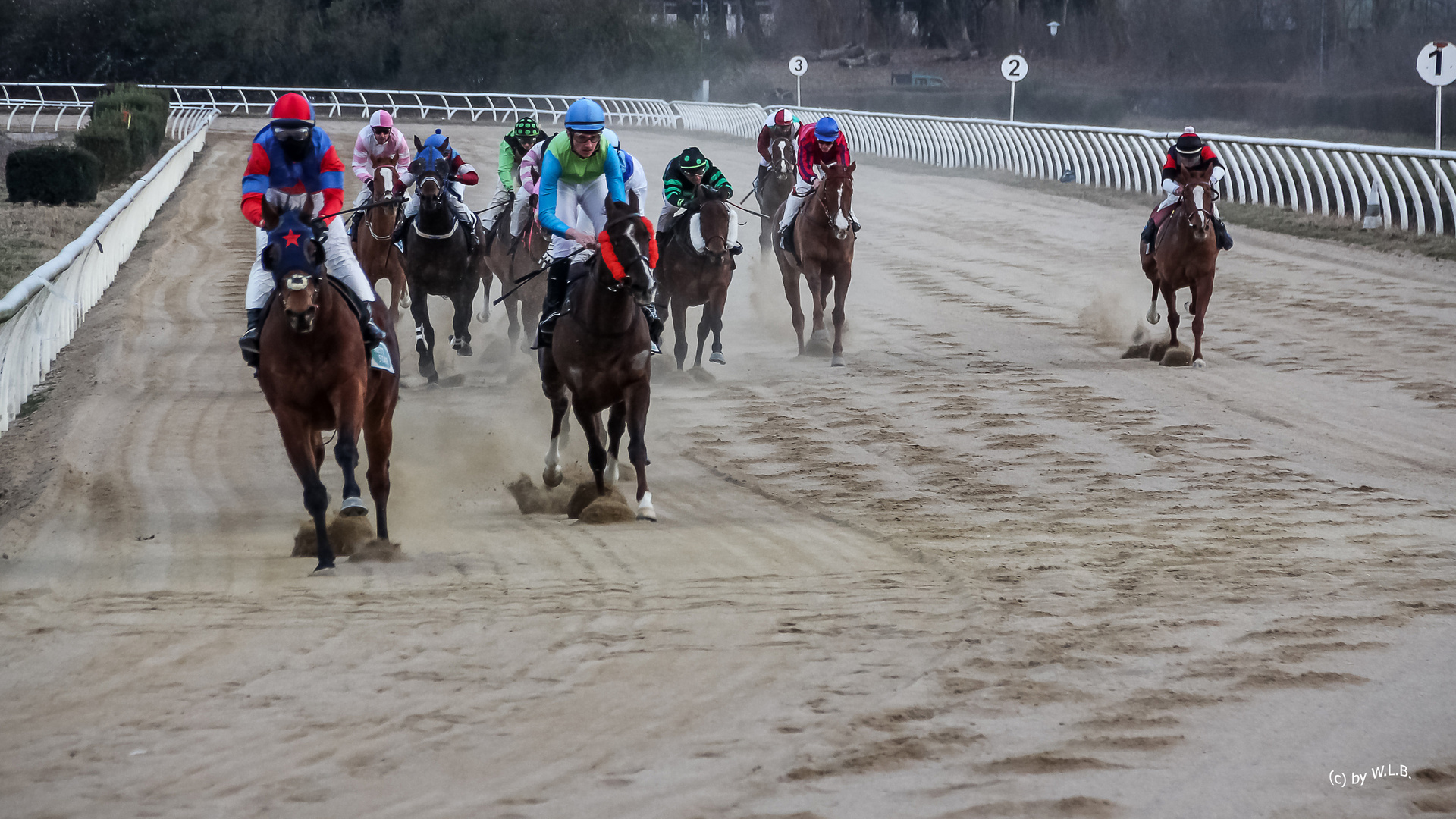 Galopp in Neuss - German-Racing