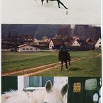 Galopp - KKM - 1991