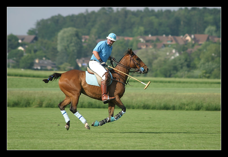 Galopp mit Rückblick