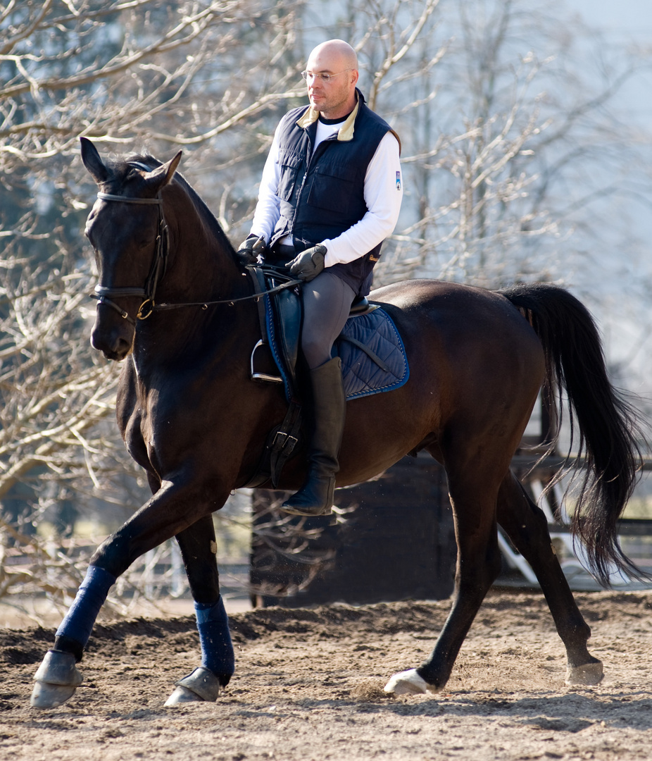 galopp ohne steigbügel