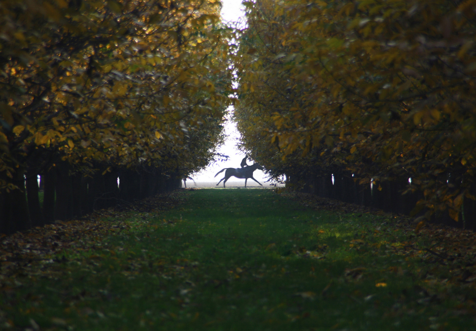 Galoppata autunnale