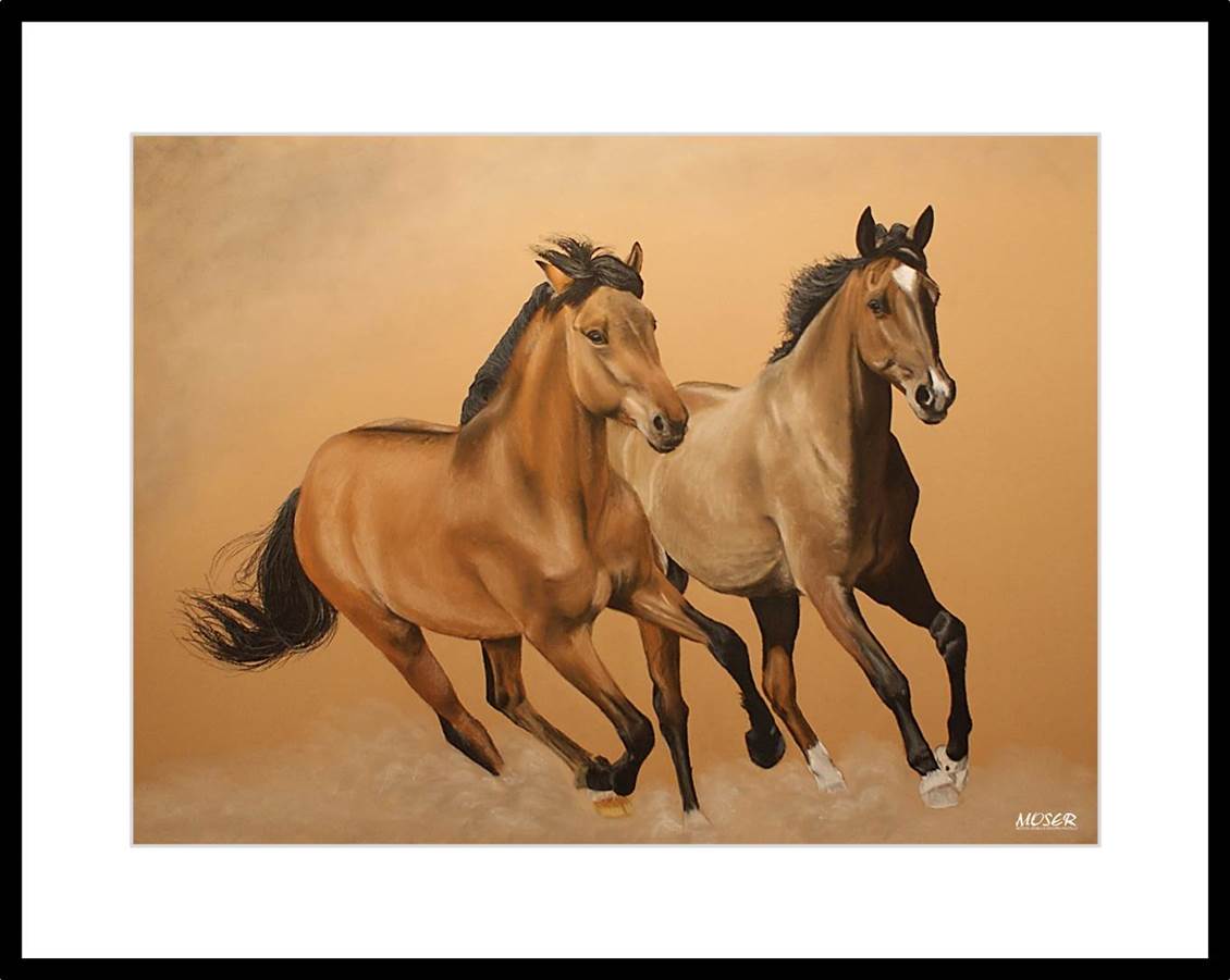 Galoppierende Pferde (Bild zu verkaufen)