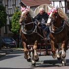 Galoppiernde Pferde mit Kutscher und Wagen.