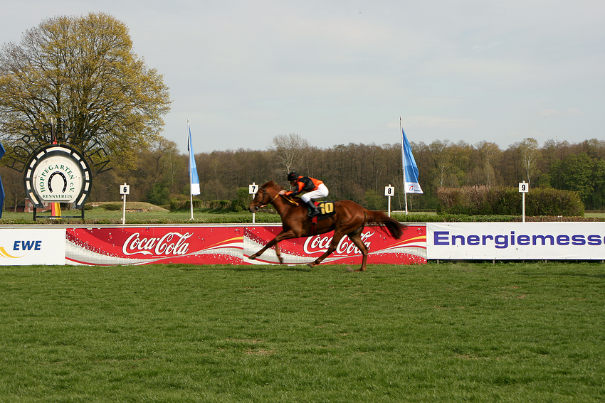 Galopprennbahn Berlin Hoppegarten 1