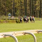 Galopprennbahn Berlin Hoppegarten 2