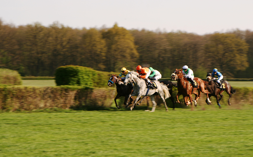 Galopprennbahn Berlin Hoppegarten 3