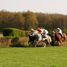 Galopprennbahn Berlin Hoppegarten 3