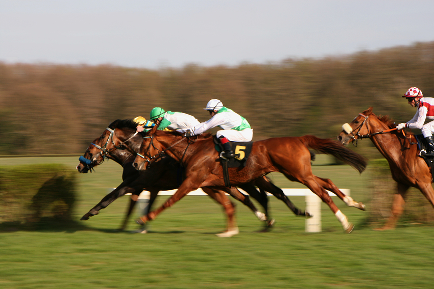 Galopprennbahn Berlin Hoppegarten 4