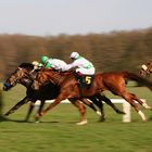 Galopprennbahn Berlin Hoppegarten 4