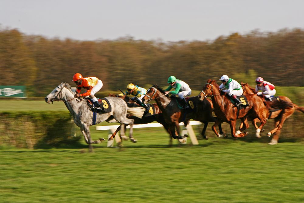 Galopprennbahn Berlin Hoppegarten 5