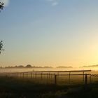 Galopprennbahn Hoppegarten