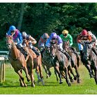 Galopprennen Hoppegarten