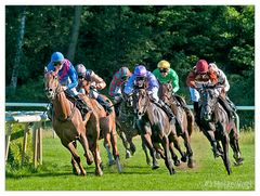 Galopprennen Hoppegarten