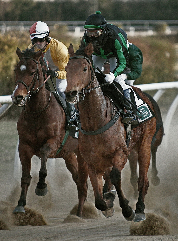 Galopprennen in Neuss.