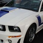 User Profile Photo