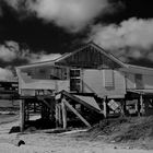 Galveston Beachhouse