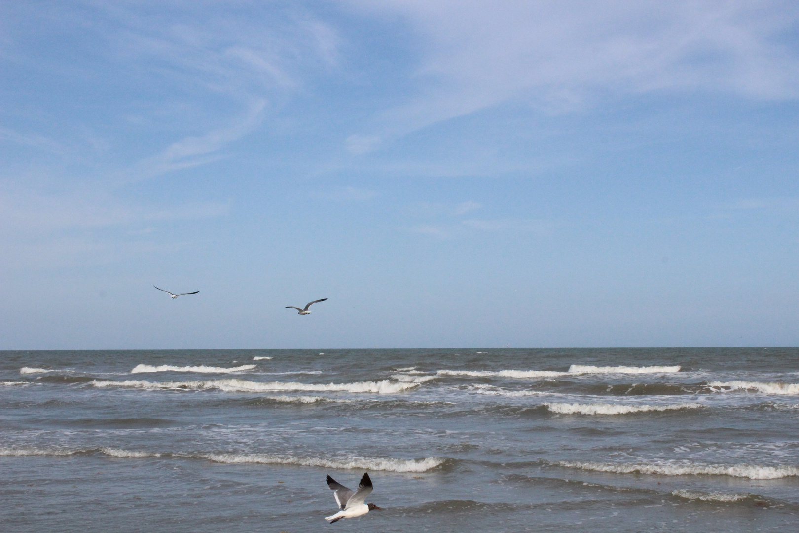 Galveston - Golf von Mexico