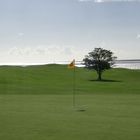 Galway Golf & Country Club "Irelands superb greens"