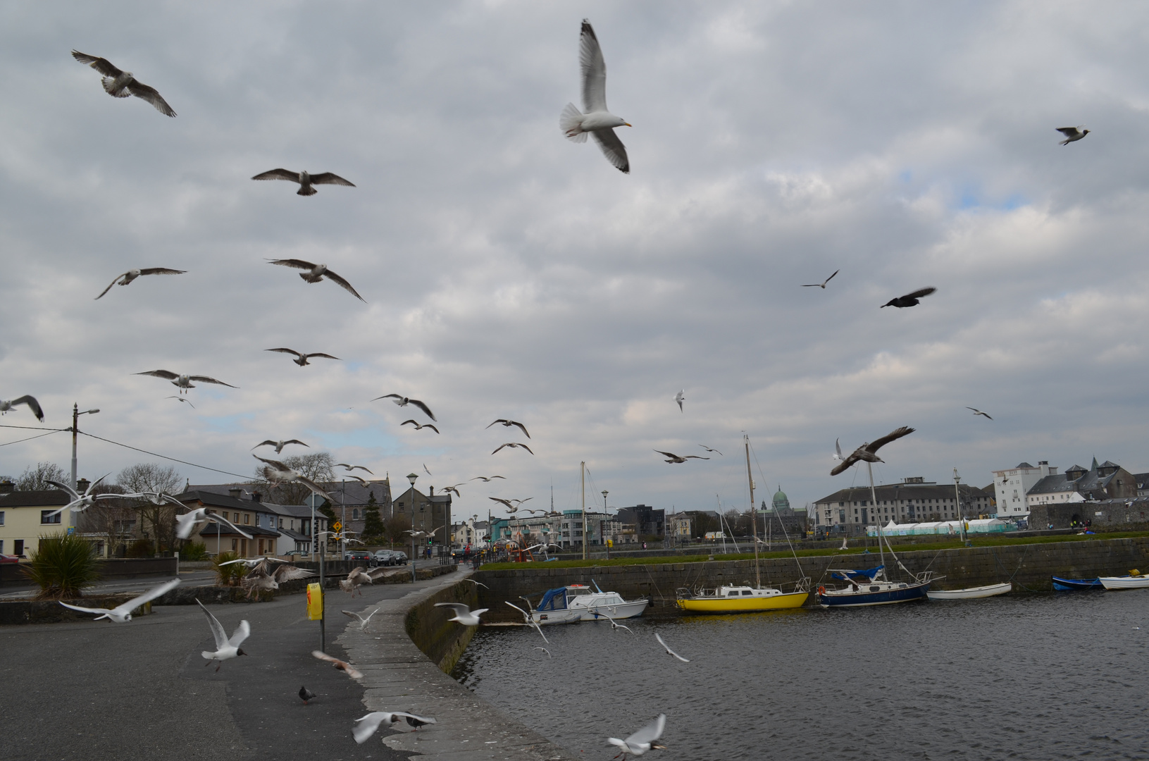 Galway Harbour