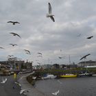 Galway Harbour