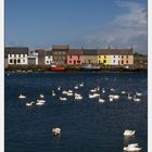 Galway Harbour