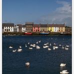 Galway Harbour