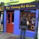 Galway Petstore