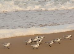 GAmbader sur la plage !