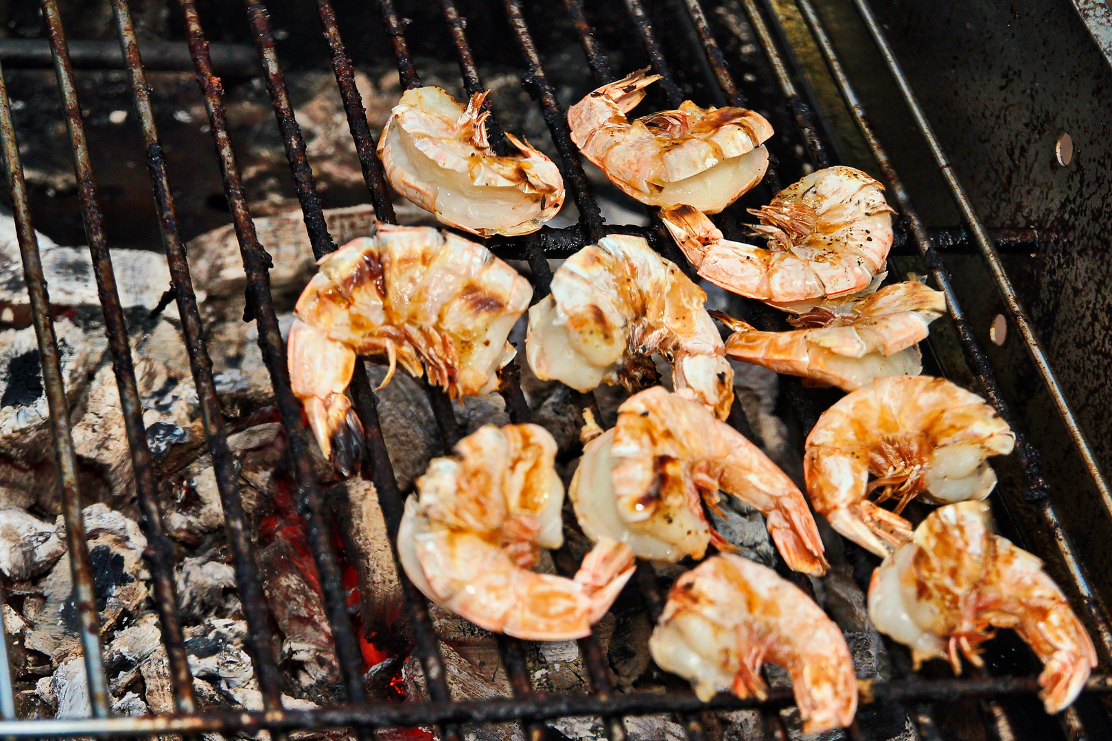 Gambas gegrillt...ein Genuß