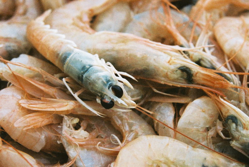 Gambas vor dem Olivenöl-Bad