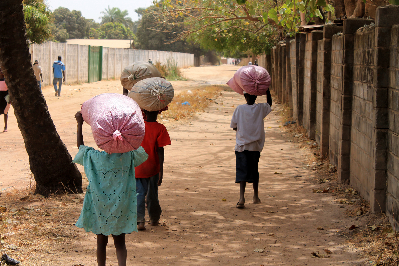 Gambia bambini al lavoro
