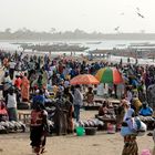 Gambia Fish market