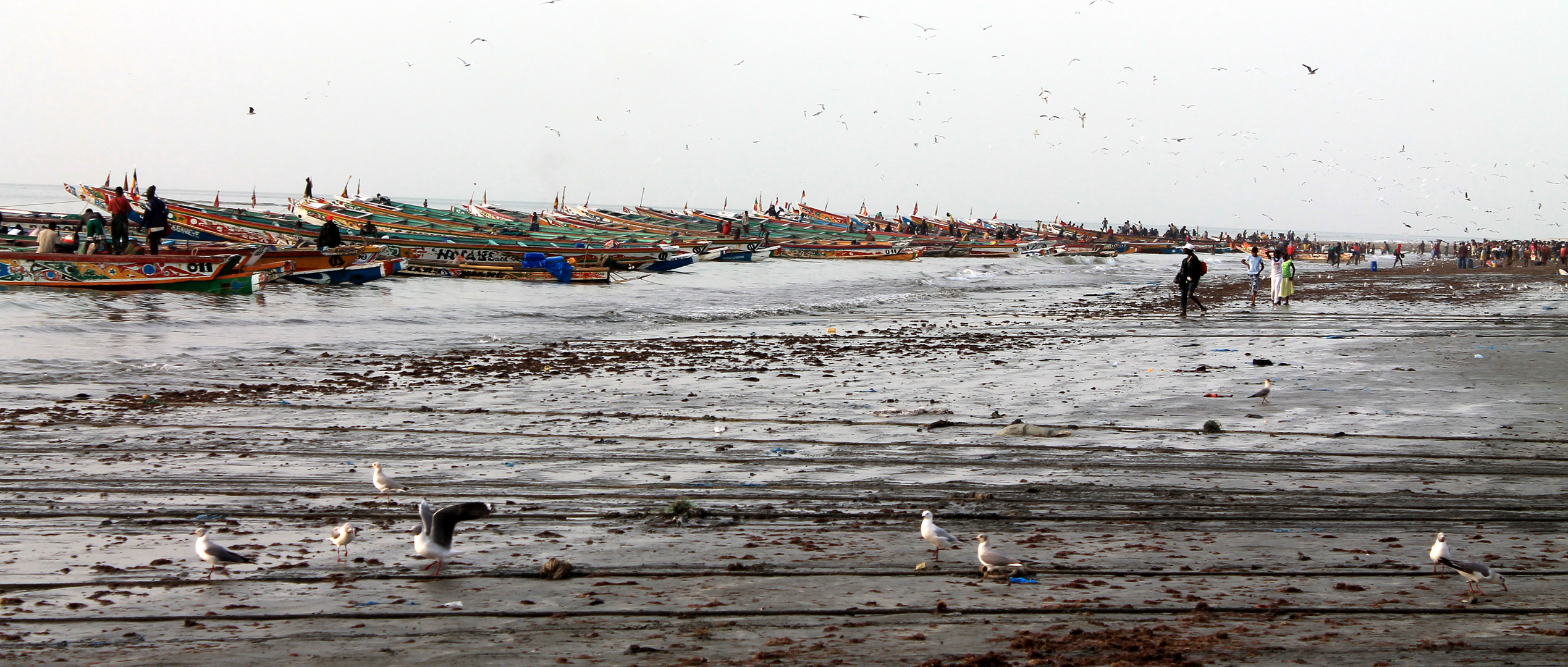 Gambia fish market